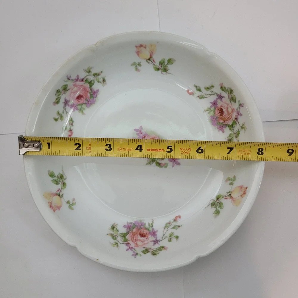 PSL Altrohlau Porcelain Bowl Austria Princess Pink Rose Floral Scalloped 8in